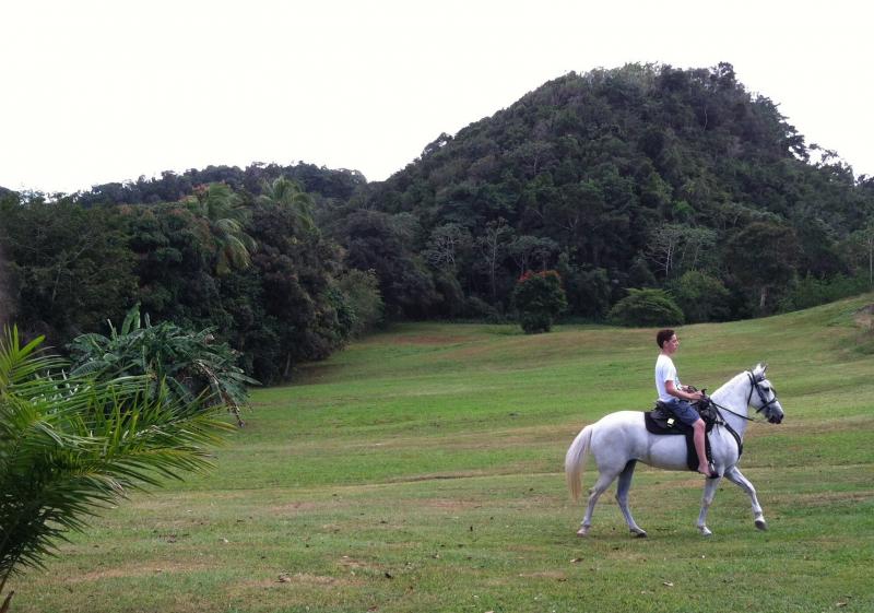 actividades privadas oeste PR