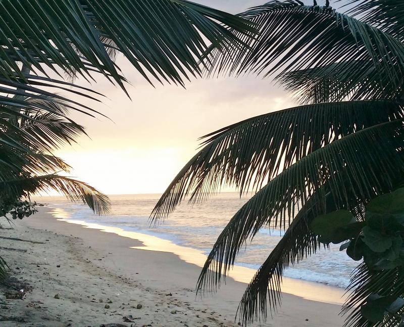apartamentos y villa de playa para alquiler en Aguada PR