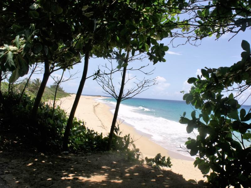 isabela PR beaches and surfing spots - beach fun condos vacation rentals
