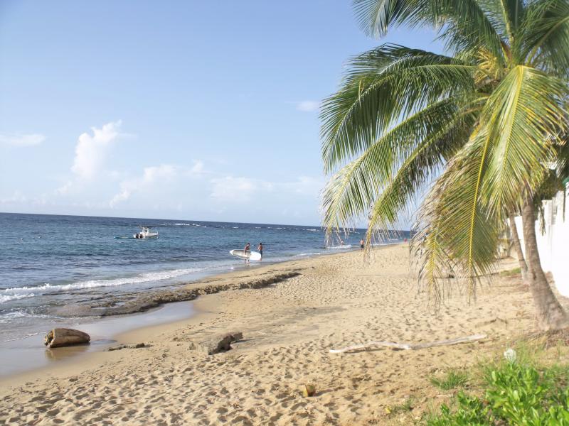 shacks beach - renta vacional isabela pr