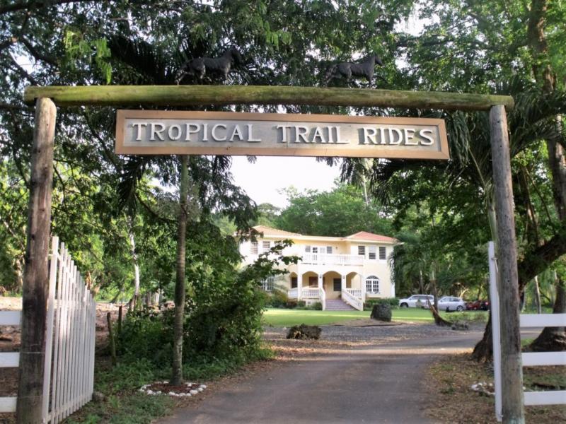 horseback rides at Isabela beach pr - Isabela Vacation rentals pr