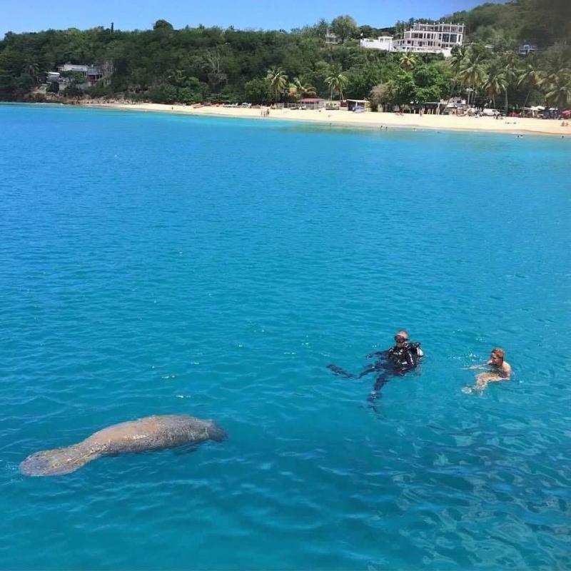 Aguadilla pr vacation rentals - beach fun condos - villamar PR