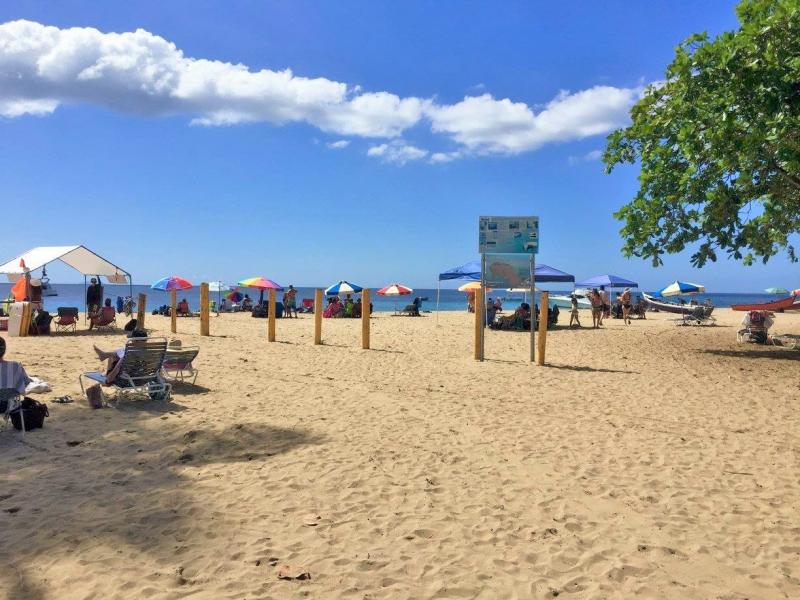 aguadilla vacation rental pr - wedding venue - Isabela Vacation rental