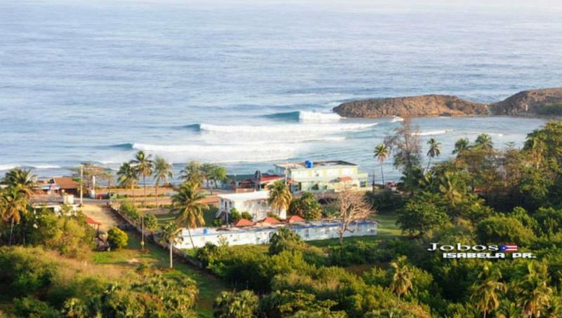 surfing at jobos beach isabela - alquiler de aptos vacacionales en Isabela pr